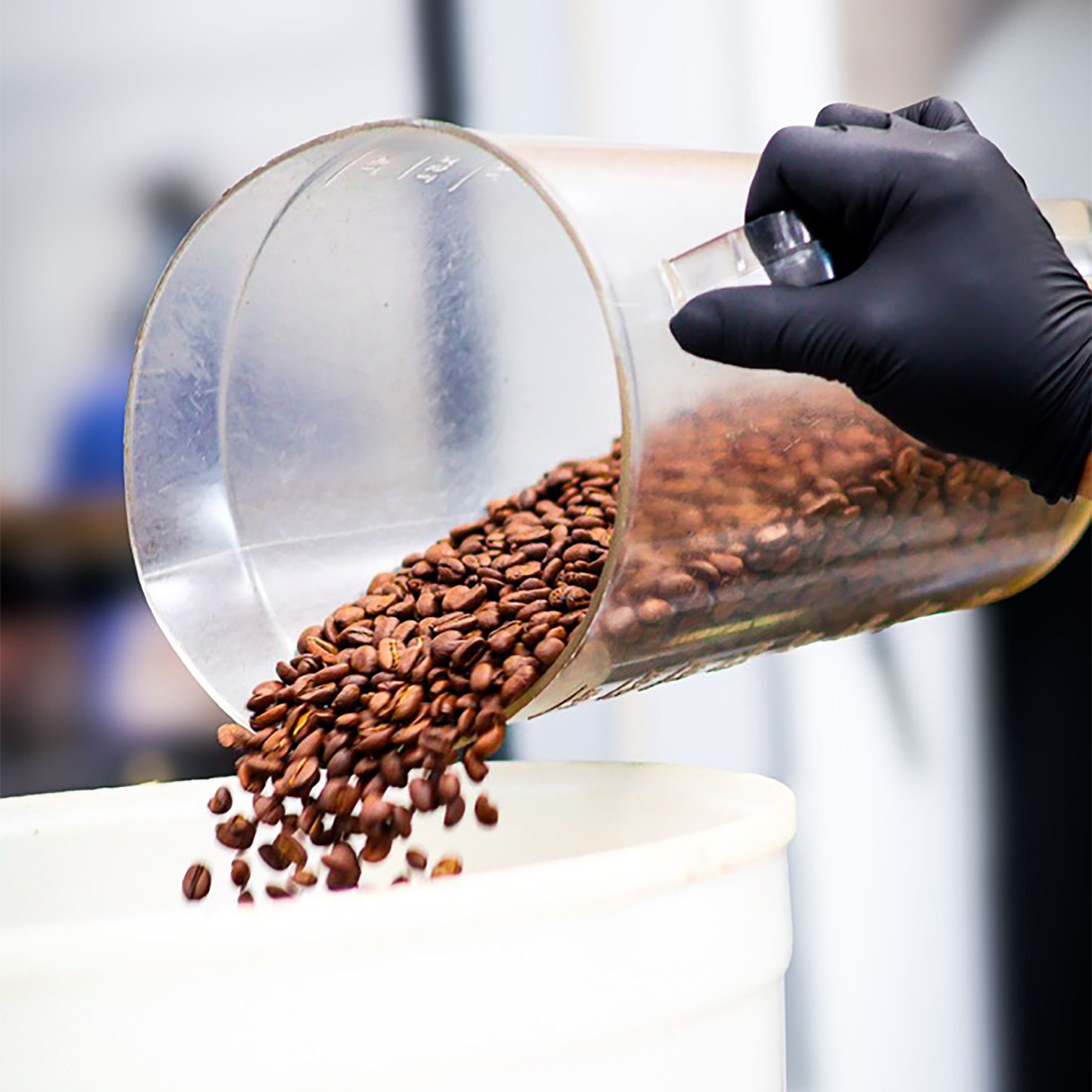 Katz Coffee fresh roasted coffee now available in Walmart stores across Texas